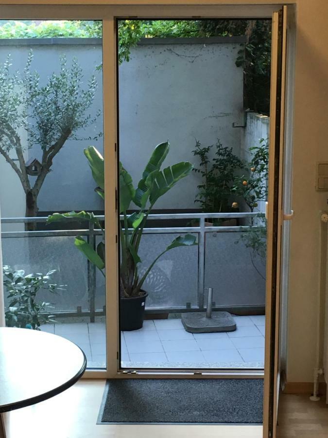Ferienwohnung Mit Terasse Oberhausen  Dış mekan fotoğraf